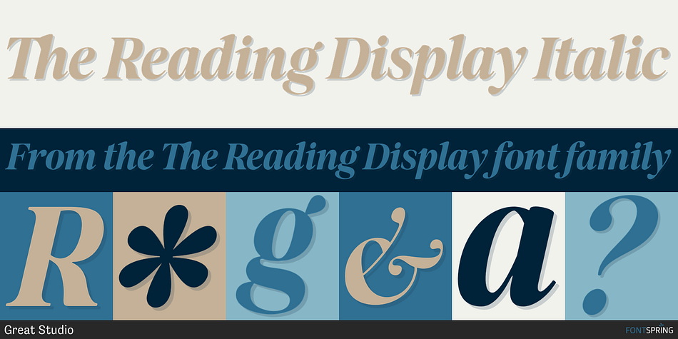 The Reading Display Italic Font