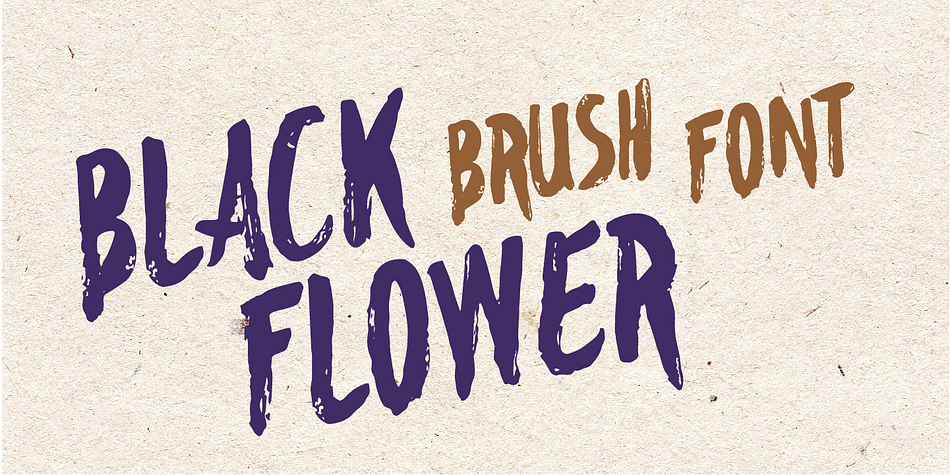 Emphasizing the popular TypeFaith Script Collection font collection.