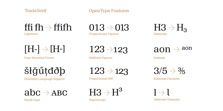 TradaSerif  has extensive OpenType support including 1 additional stylistic set, Stylistic Alternates, Lining Figures and Standard Ligatures giving you plenty of options to allow you to create something truly unique and special.