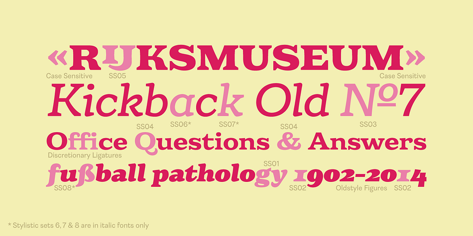 Highlighting the Eroika Slab font family.