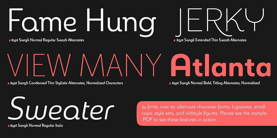 The initial font was extremely well received, and a revitalized and remastered Chennai made its appearance two years later, complete with new weights and new, novel OpenType features.