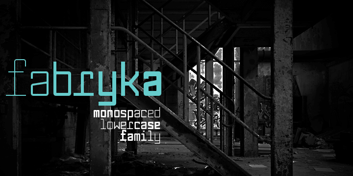 Displaying the beauty and characteristics of the Fabryka 4F font family.