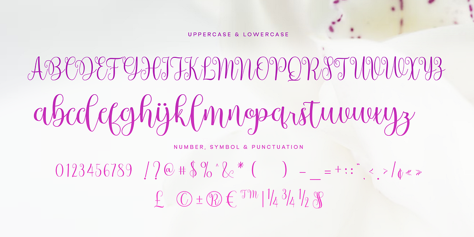 Bostek Font