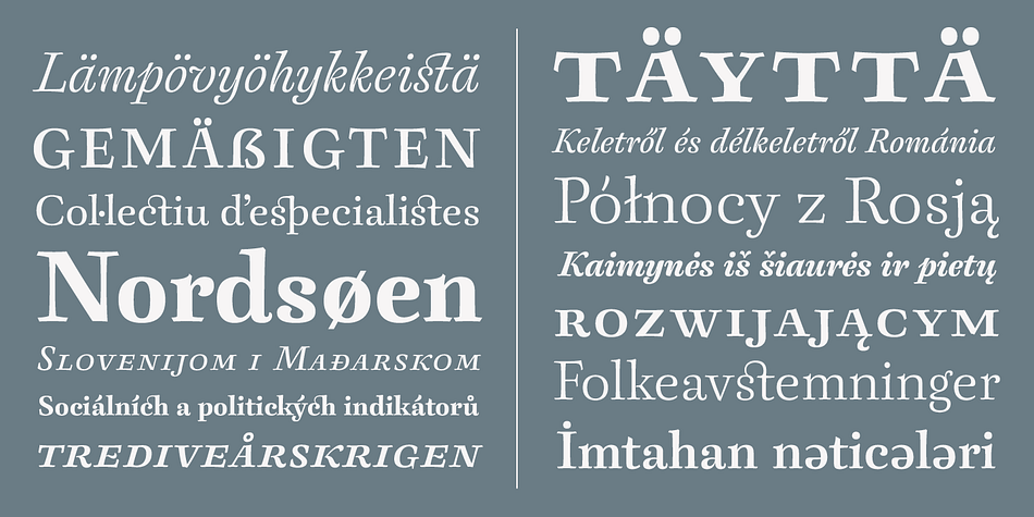 All Berenjena character sets include extensive diacritics coverage for more than 200 languages.
