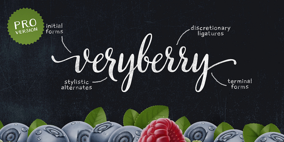 Veryberry Pro is a handwritten font with a unique character.