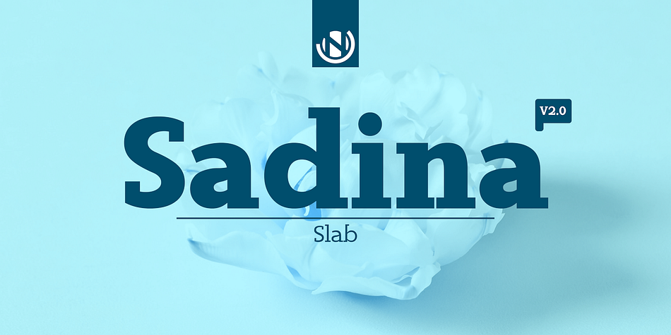 Sadina Slab™ inspired by the Sadina Font family.