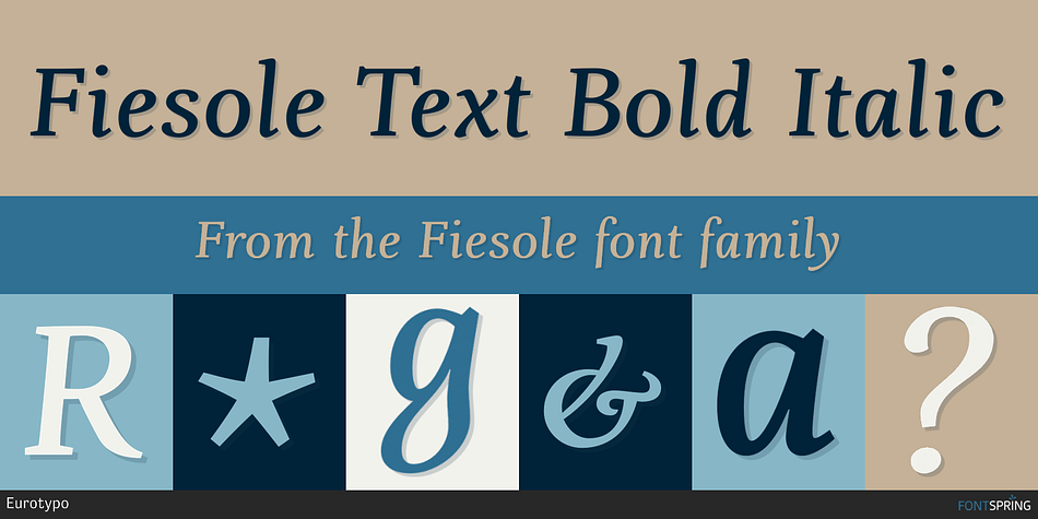 Fiesole Text Bold Italic Font