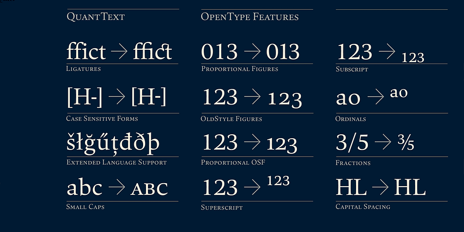 All weights contain small caps, proportional lining figures, tabular lining figures, proportional old style figures, lining old style figures, matching currency symbols, fraction- and scientific numerals.