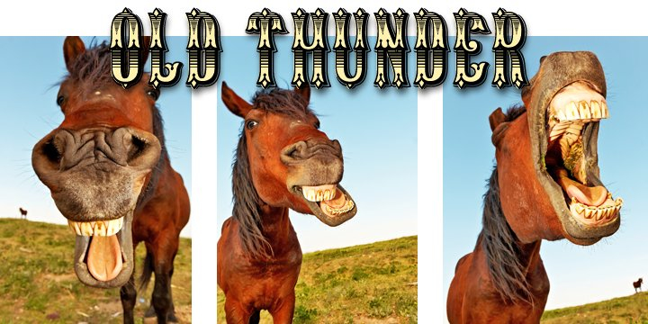 Old Thunder is a revival of an 1800’s Tuscan style font, we