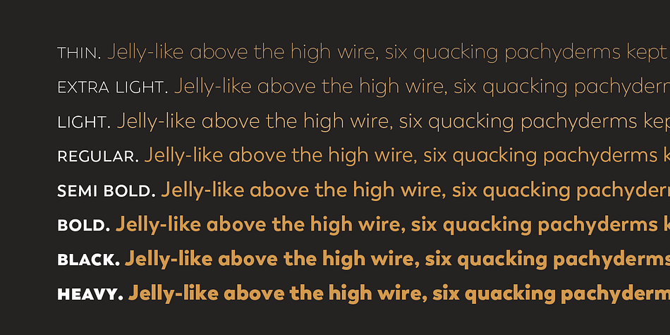 Trenda font family sample image.