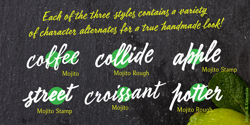 Two additional styles imitate writing over a rough surface and a relief print.