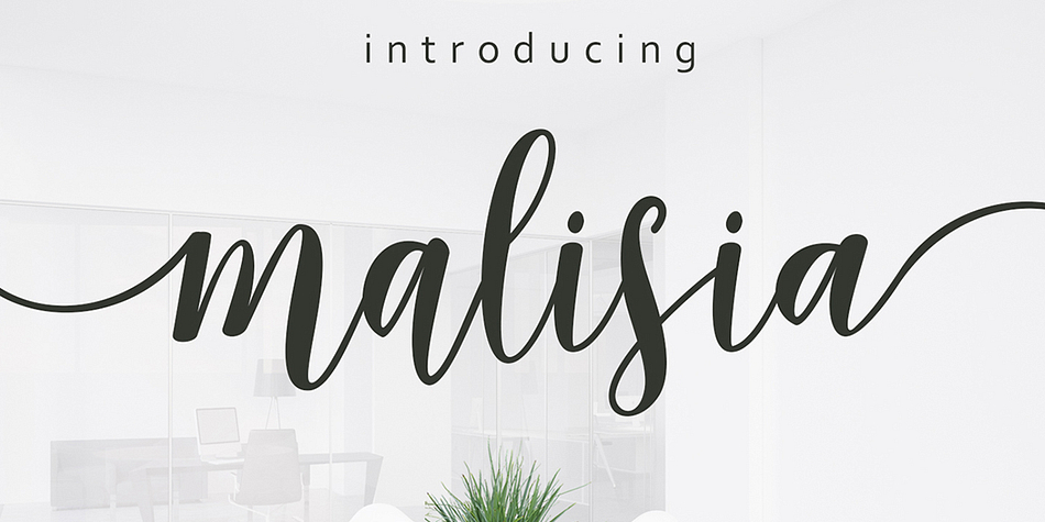 Introducing the latest font from Genesislab: Malisia Script.