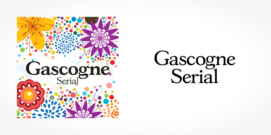 Displaying the beauty and characteristics of the Gascogne Serial font family.