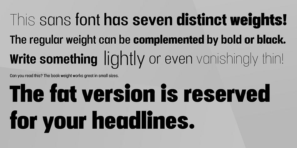 Displaying the beauty and characteristics of the Vacer Sans font family.