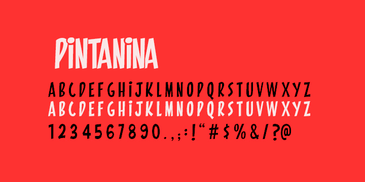 Emphasizing the popular PINTANINA font family.