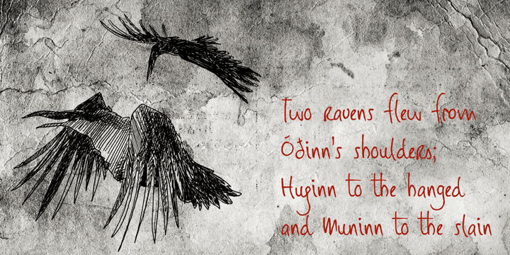 Huginn And Muninn are a pair of ravens that fly all over the world Midgard.