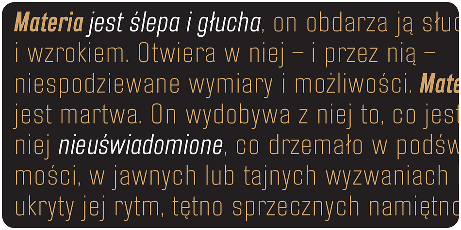 Emphasizing the popular Blop 77 font family.