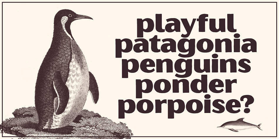 Carefully drawn, when you enlarge the typefaces, the subtle irregularities become more apparent and harken to hand lettering of the past.