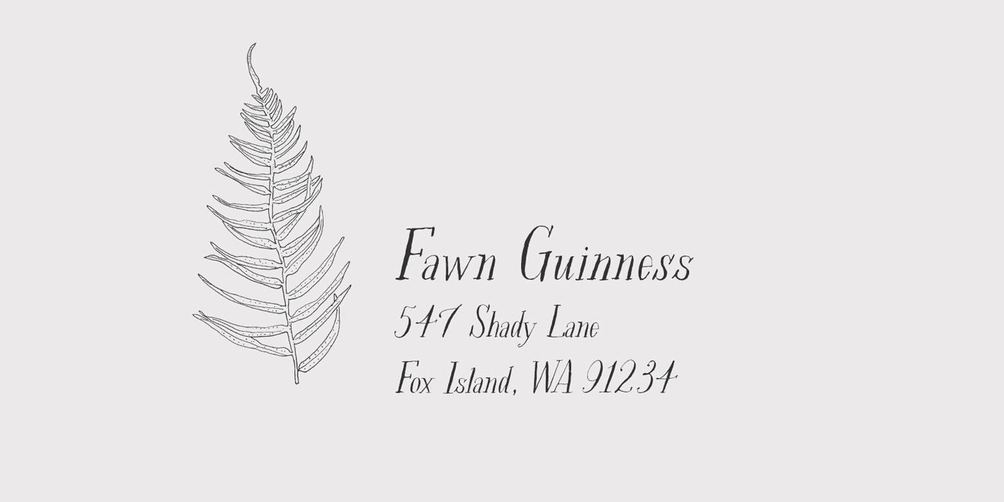 Rare Bird Specimen V Font