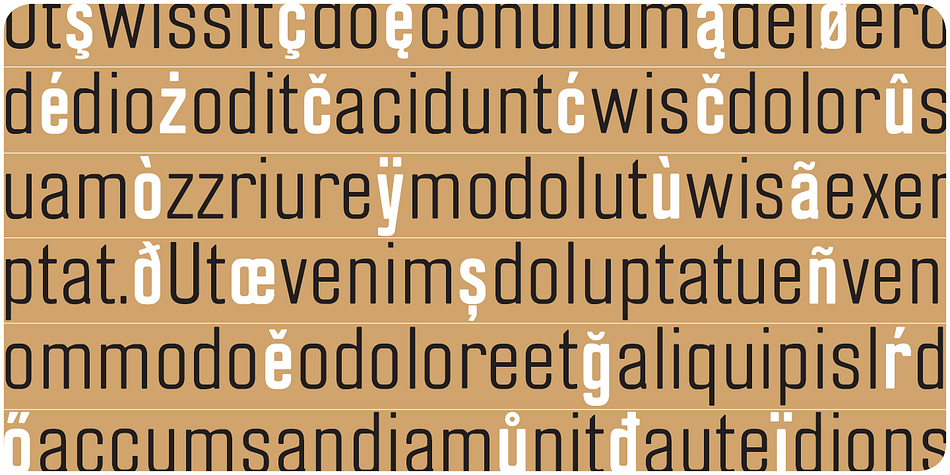 Highlighting the Blop 77 font family.