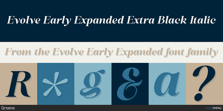 Evolve Early Expanded Extra Black Italic Font