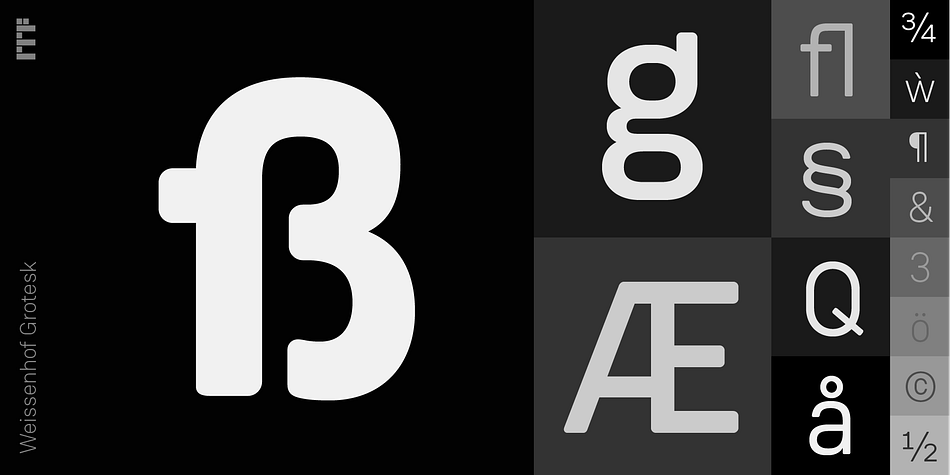 Emphasizing the favorited Weissenhof Grotesk font family.