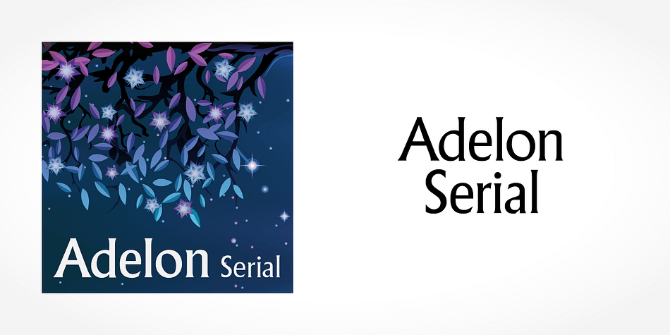 Adelon Serial is a classic flare serif typeface.