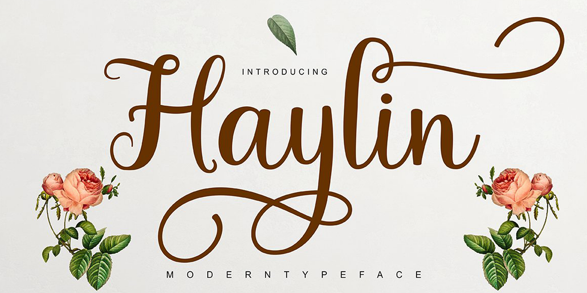 Haylin Script