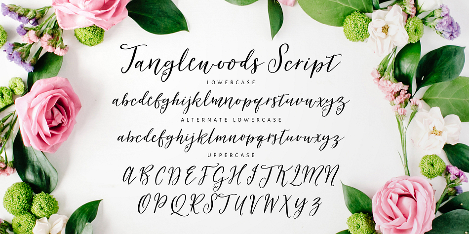 Tanglewoods is a a four font family.