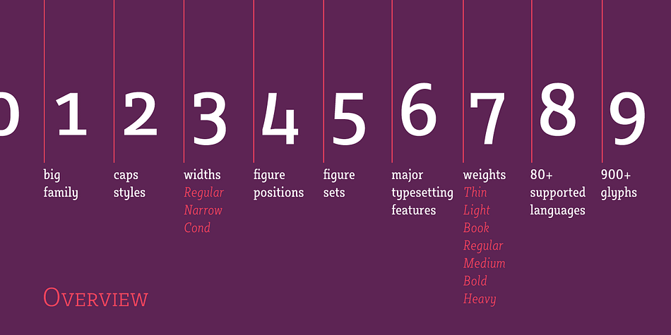 This newly developed extended type family consists of seven weights in three widths with complimentary true italics.