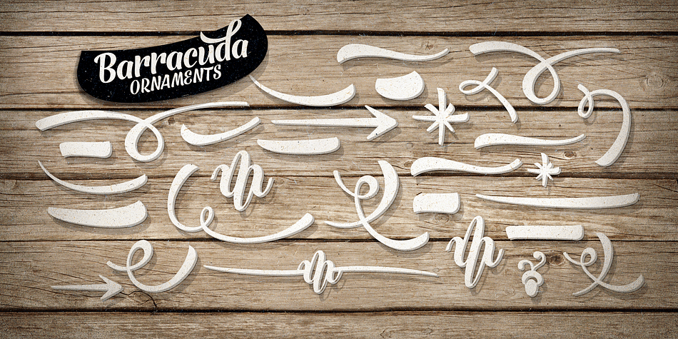 Emphasizing the favorited Barracuda font family.