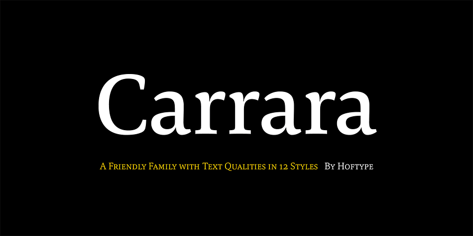 Carrara is a highly readable text face with a loose reference to classical transitional types.