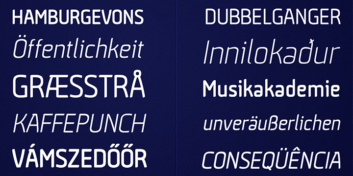 Aneba family contains 5 weights in two different styles - bold & oblique.