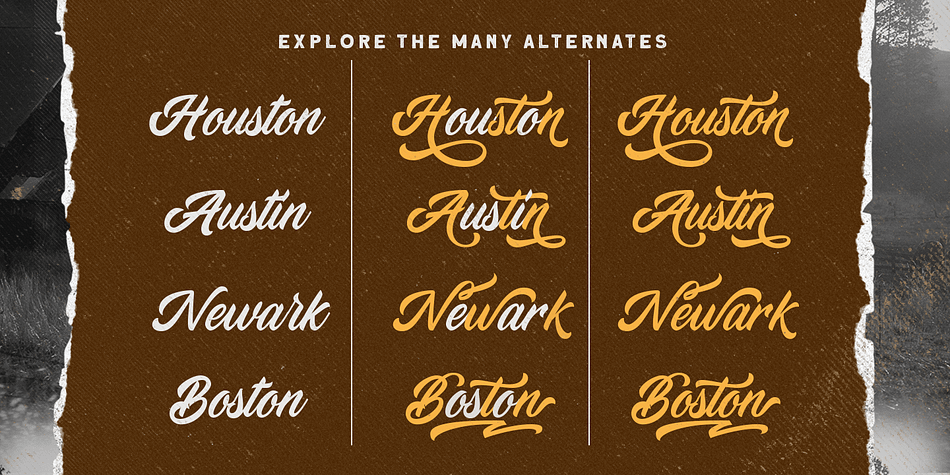 Devilion - Hand Lettering Script Font | Fontspring