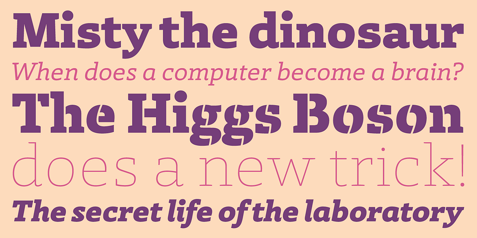 The type family was designed by Paula Mastrangelo, an Art Director with extensive experience in editorial design specialized in corporate communication.