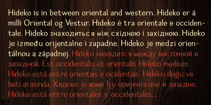 This multicultural font is most effectively used for oriental restaurants but is also ideal for western cafes, posters, books, etc.