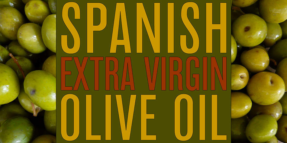 The entire Standard CT family includes support for most European languages, OpenType features, arbitrary fractions, and a collection of geometrics, dingbats & fleurons.