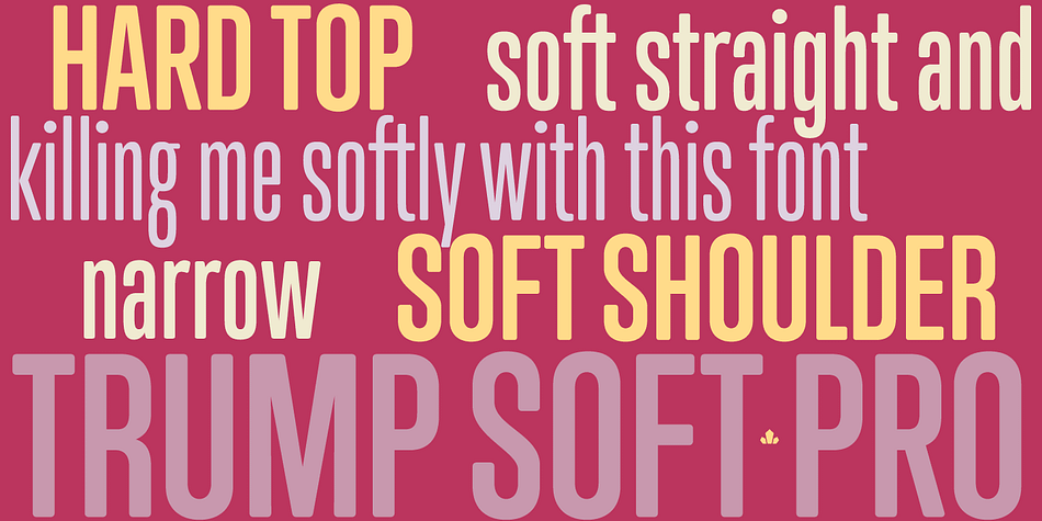 Trump Soft Pro is the softer, round-cornered version of Trump Gothic Pro, the popular condensed gothic seen on films, magazines, book covers and fashion brands all over the globe.