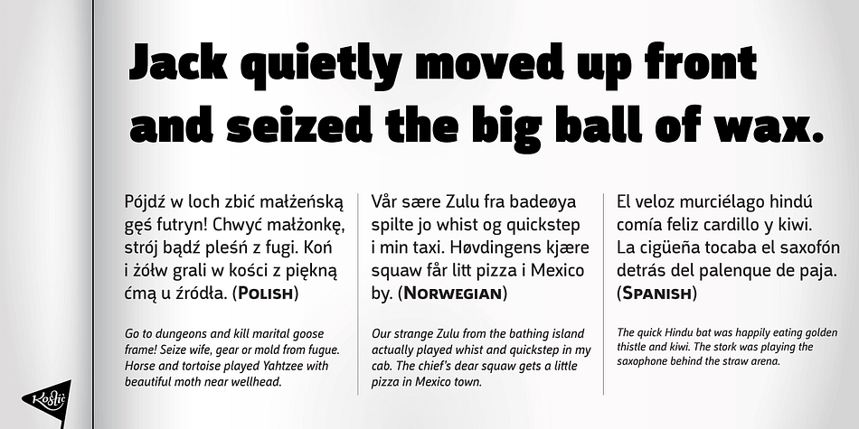 Argumentum is a sixteen font, sans serif family by Kostic Type Foundry.