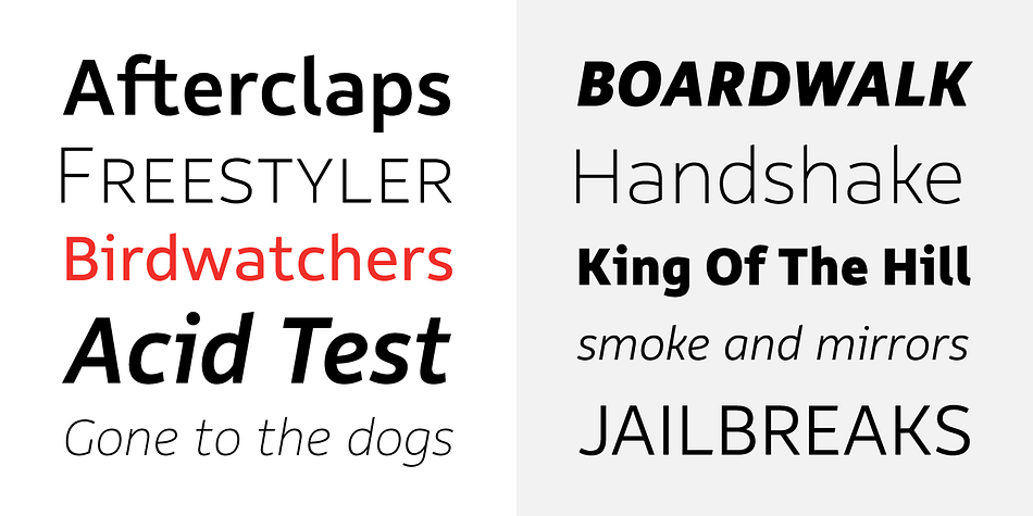 Displaying the beauty and characteristics of the Rehn font family.