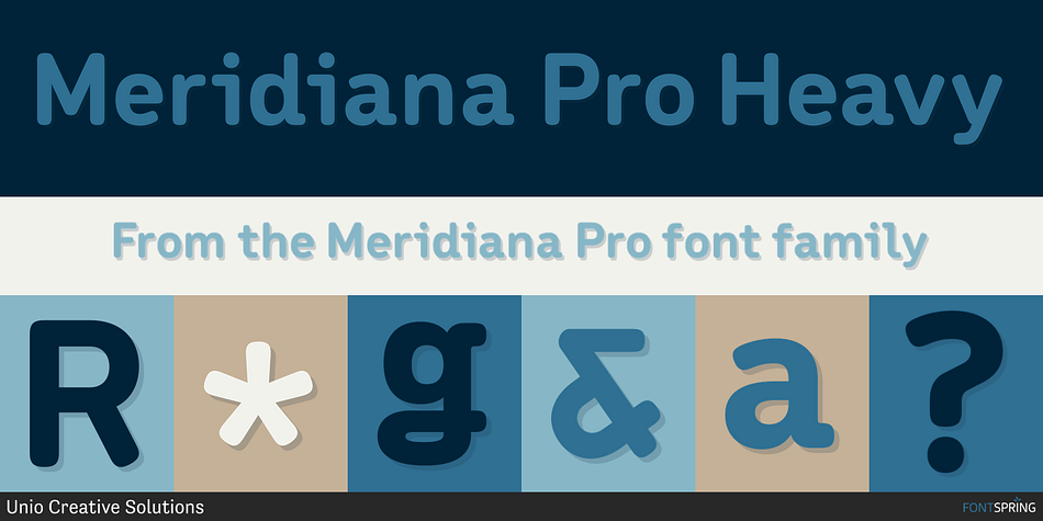 Meridiana Pro Heavy Font