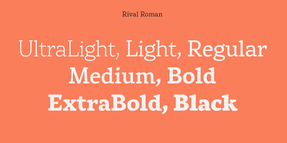 Rival is a a fourteen font family.
