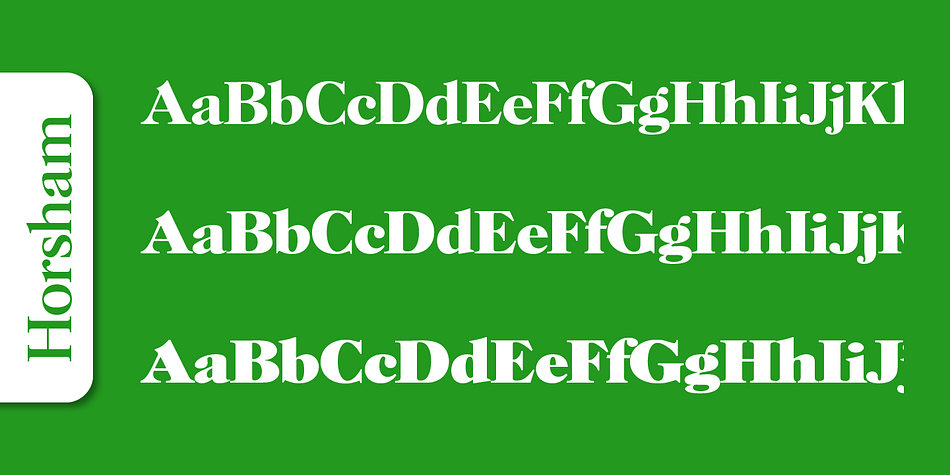 Emphasizing the popular Horsham Serial font family.