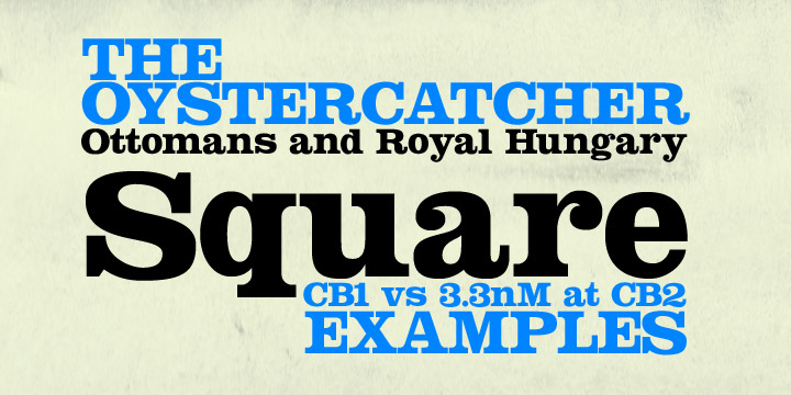 Displaying the beauty and characteristics of the Squarendon font family.