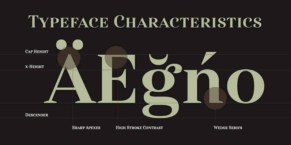 It’s a neoclassical font developed for numerous uses, ranging from editorial and corporate to web pages and apps.