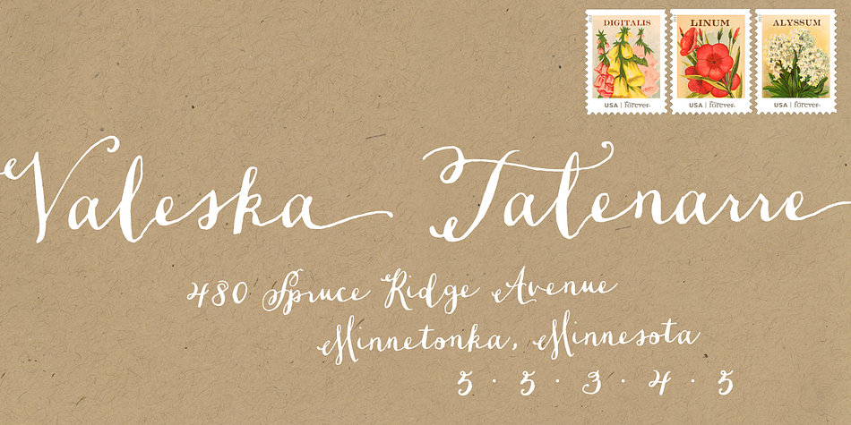 Dasha font family example.