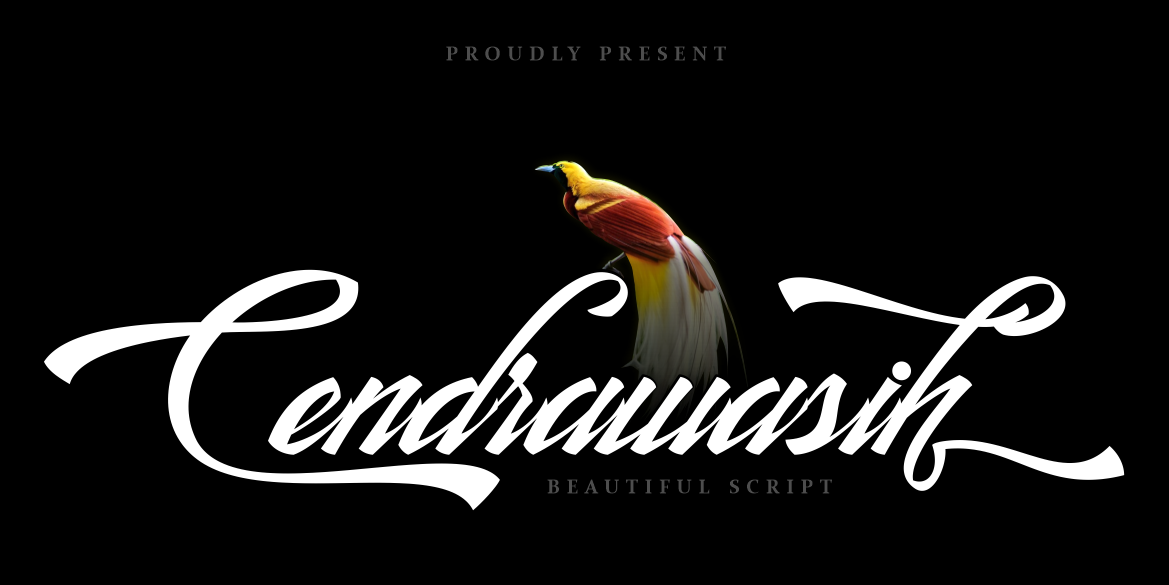 Cendrawasih Script