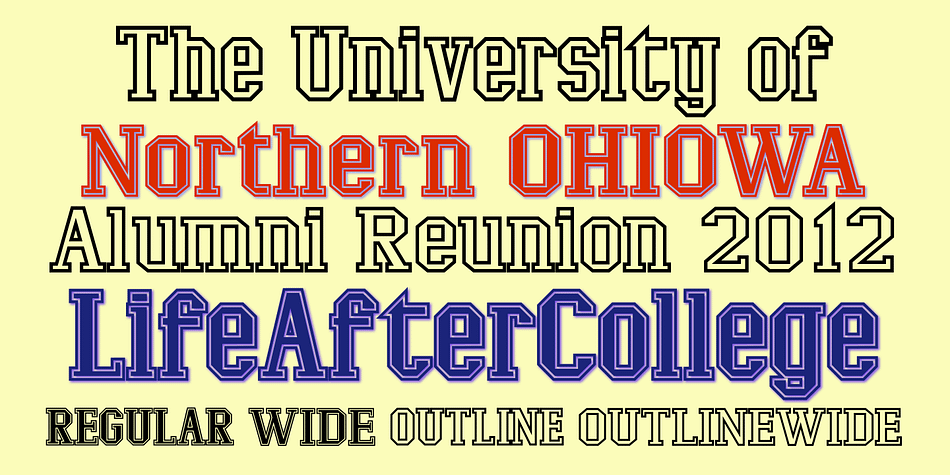 The LifeAfterCollege family of four fonts that are slab-serif, geometric fonts with no curves.