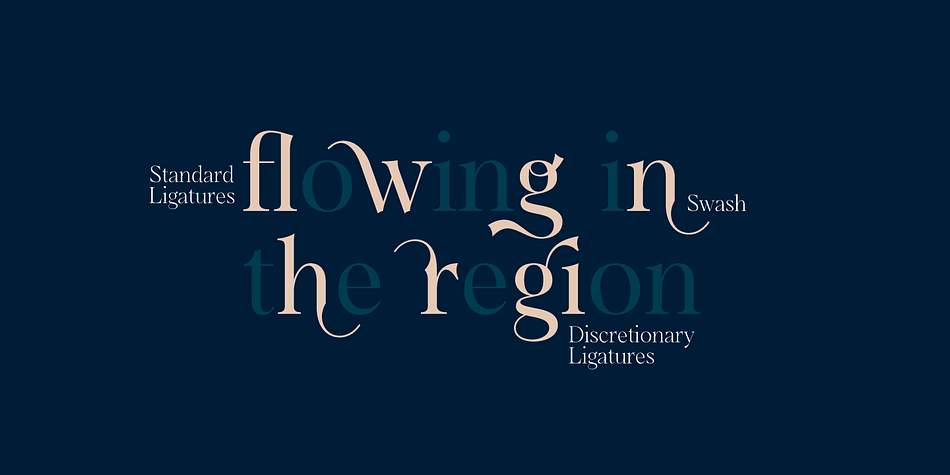 Highlighting the Dawnora font family.