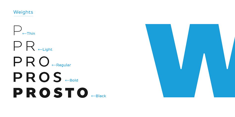 Displaying the beauty and characteristics of the TT Prosto Sans font family.